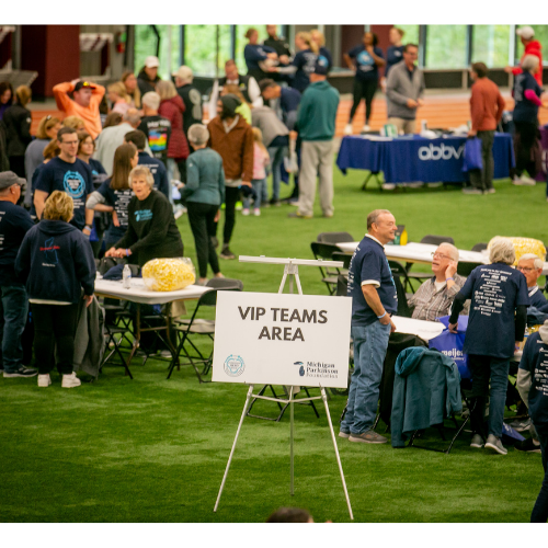 vip team area.png